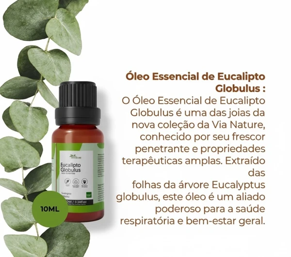 Óleo Essencial de Eucalipto Globulus Concentrado - 10ml.