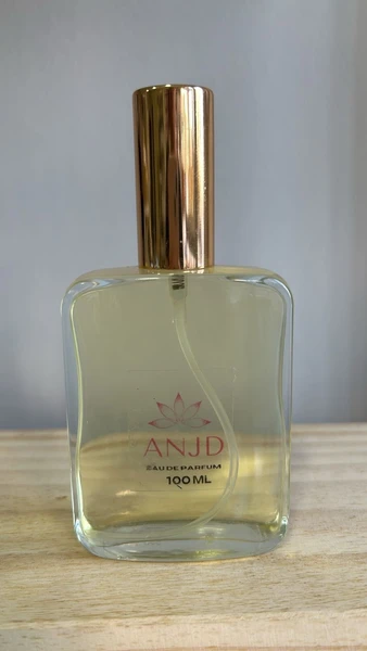 Perfume Inspiração Ange ou Demon Edp Feminino 100 ml