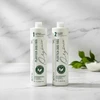 Kit Escova Progressiva Plastica dos Fios Orgânica Royal - 2x1lt