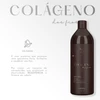 Kit Progressiva Zap Colageno dos Fios - 2x480ml