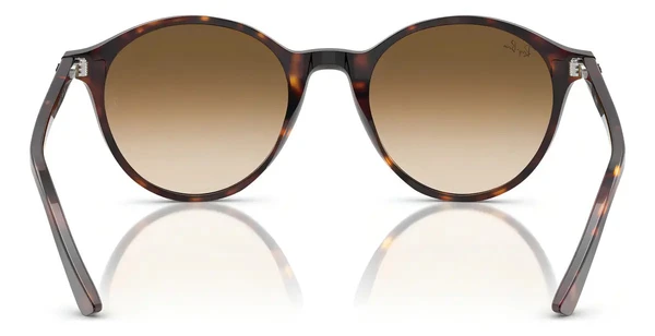 Óculos De Sol Bernard Evolution Havana Rb2230 90251-53 Marrom - M Marrom-escuro