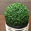 Buchinho decorativo 16 cm
