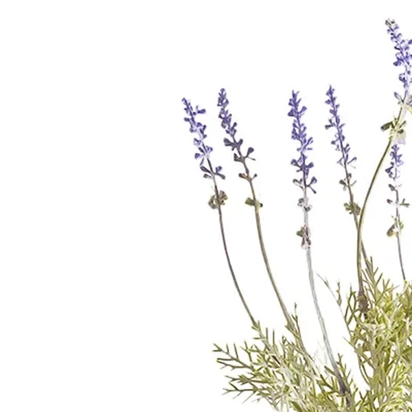 Buquê de Lavanda cor padrão x12 43 cm