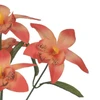 Buquê de Orquídea Dendrobium laranja com folhagem x5 32 cm