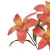 Buquê de Orquídea Dendrobium laranja com folhagem x5 32 cm