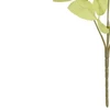 Buquê de Rosas com Hortênsias rosa outono x5 30 cm
