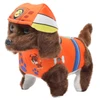 Cachorro divertido que late e anda