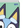 Caderno brochura 1/4 Bluey Jandaia 80 folhas