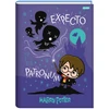 Caderno brochura 1/4 Harry Potter Jandaia 96 folhas