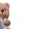 Escultura em poliresina Ursinho aventureiro no avião Teddy Charm Wolff 16x17x16