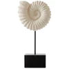 Escultura em resina fóssil marinho Amonite off white Grillo 20x38