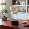 Escultura em resina fóssil marinho Amonite off white Grillo 20x38