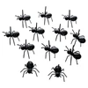 Espeto para frutas e petiscos Formiga 12 peças