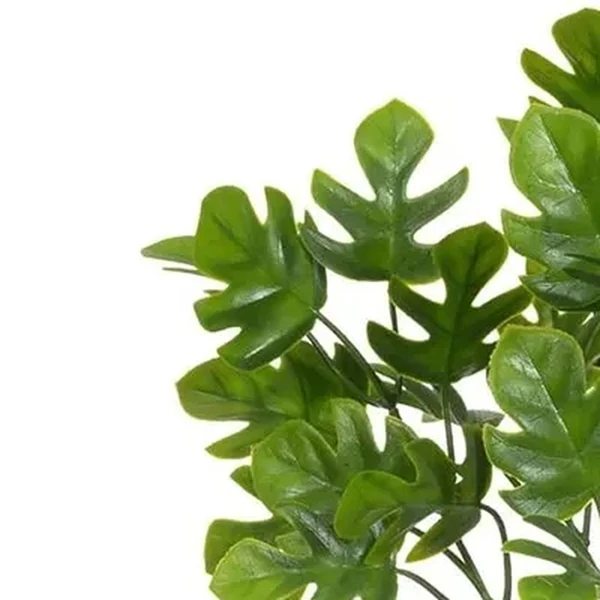 Folhagem de Costela de Adão verde x36 30 cm