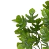 Folhagem de Costela de Adão verde x36 30 cm