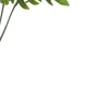 Folhagem de Costela de Adão verde x36 30 cm