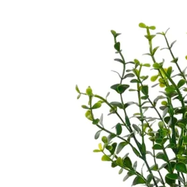 Folhagem de Eucalipto verde x28 36 cm