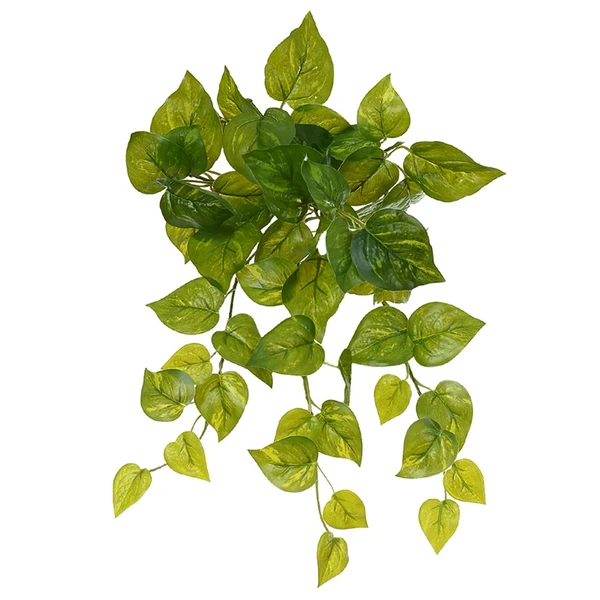 Folhagem de Jiboia verde com creme para arranjos pendentes x60 40 cm