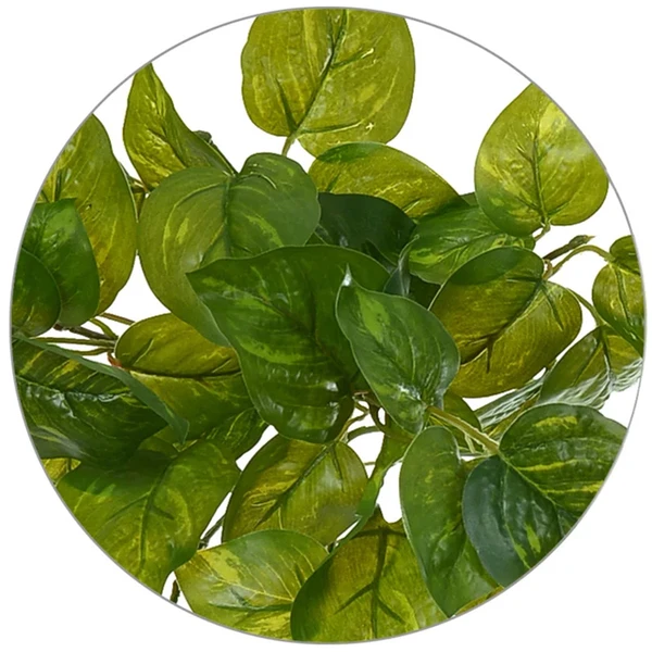 Folhagem de Jiboia verde com creme para arranjos pendentes x60 40 cm