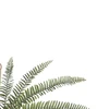Folhagem de Samambaia verde para arranjos pendentes x12 49 cm