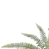 Folhagem de Samambaia verde para arranjos pendentes x12 49 cm
