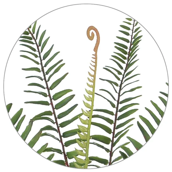 Folhagem de Samambaia verde para arranjos pendentes x12 49 cm