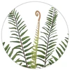 Folhagem de Samambaia verde para arranjos pendentes x12 49 cm