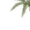 Folhagem de Samambaia verde para arranjos pendentes x12 49 cm
