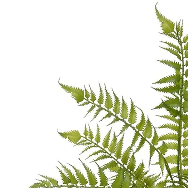 Folhagem de Samambaia verde para arranjos x18 56 cm