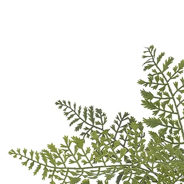 Folhagem de Samambaia verde x10 29 cm