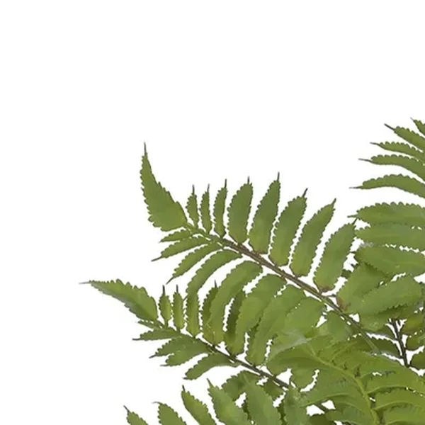 Folhagem de Samambaia verde x12 38 cm