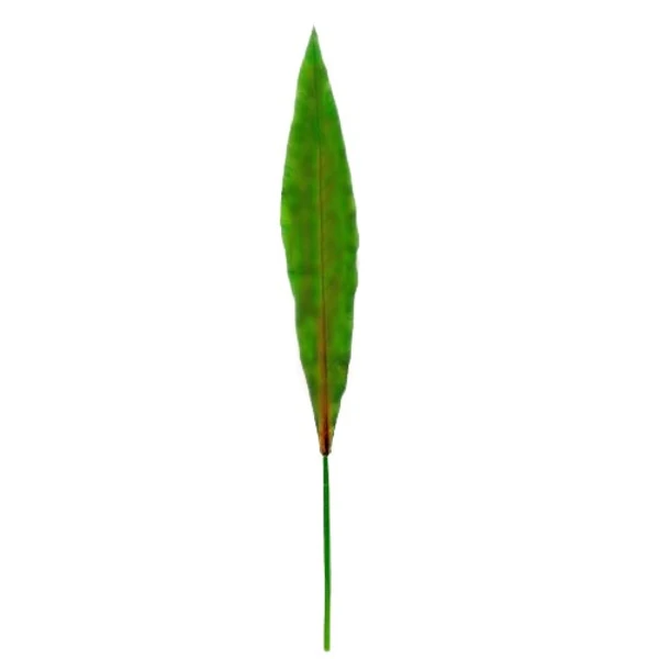 Galho permanente de Dracena verde 1,15 m