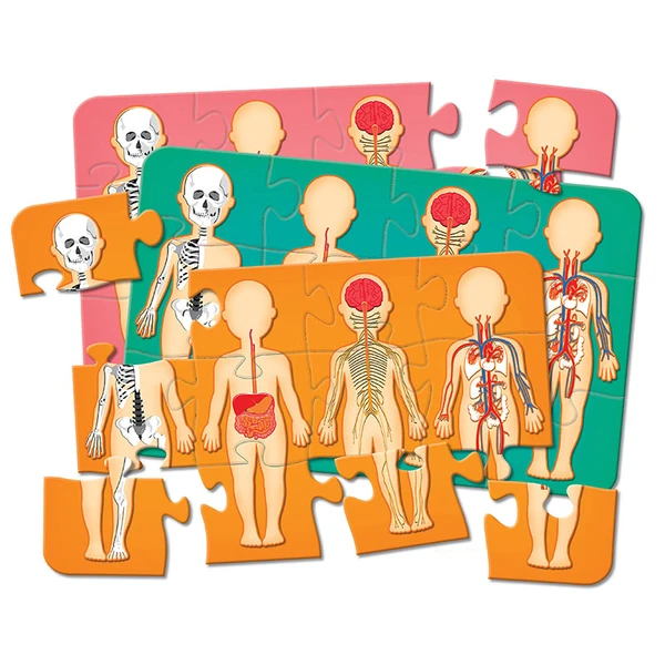 Jogo educativo com quebra-cabeça Corpo Humano