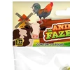 Kit animais Amigos da Fazenda 10 peças