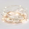 Luminária fio de fada branco quente à pilhas 50 LEDs 5 metros
