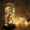 Luminária fio de fada branco quente à pilhas 50 LEDs 5 metros