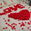 Pacote com 100 pétalas de rosas vermelhas em veludo para decoração