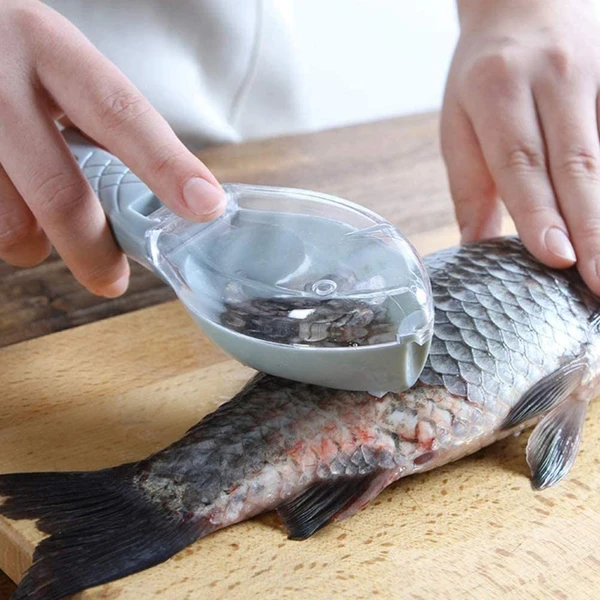 Removedor de escamas de peixe