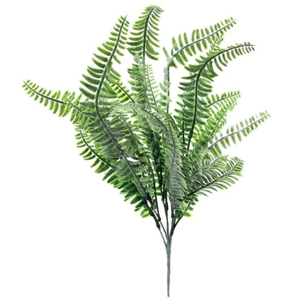 Samambaia 75 cm