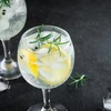 Taça de cristal para gin 600 ml