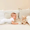 Urso de pelúcia que reza para o Anjo da Guarda Buba - bege