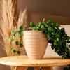 Vaso cachepot em plástico bege Névoa Lyor 15x15