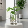 Vaso de vidro Cilindro Grillo 15x20