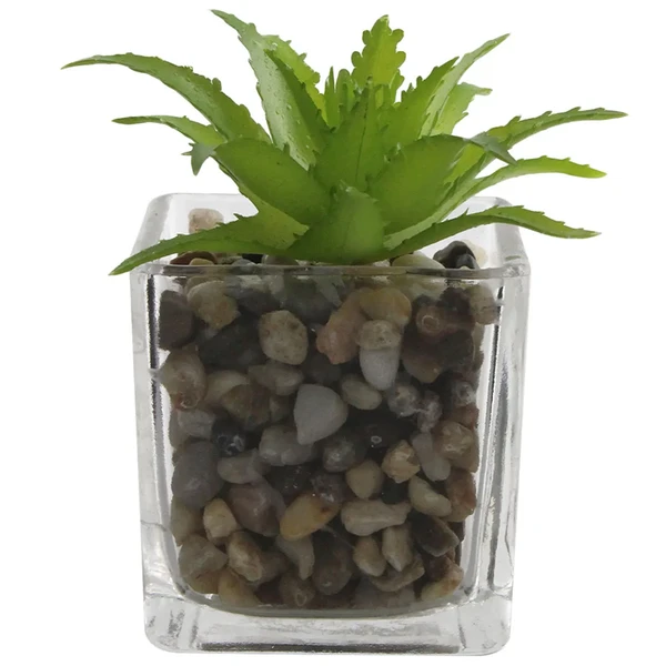 Vaso de vidro com pedras e planta permanente 5,5x5,5