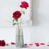 Vaso de vidro liso 10x22