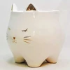 Vaso em cerâmica branca Gato 8x8x8,5