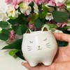 Vaso em cerâmica branca Gato 8x8x8,5