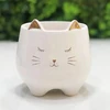 Vaso em cerâmica branca Gato 8x8x8,5