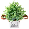 Vaso floreira de ferro com alça e planta permanente 7,5x8x19