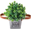 Vaso floreira de ferro com alça e planta permanente 7,5x8x19